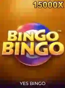 bingobingo
